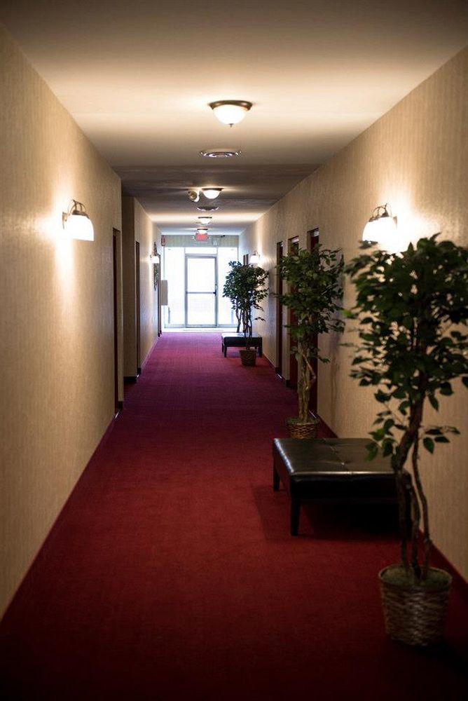 Pacer Inn & Suites Motel Delaware Exterior foto